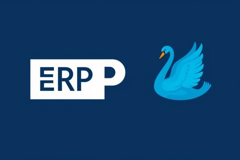 ERP标题如何有效提升用户点击率与转化率？