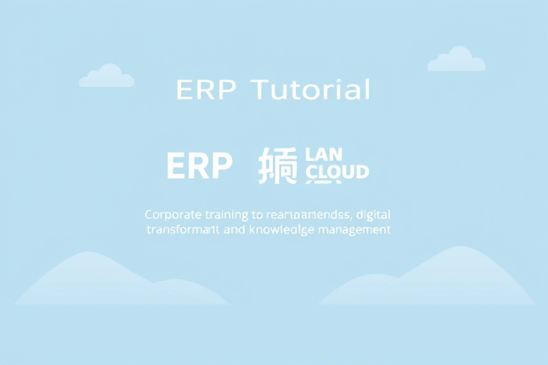 如何制作一份高效的ERP教程？从零开始教你打造专业级培训内容